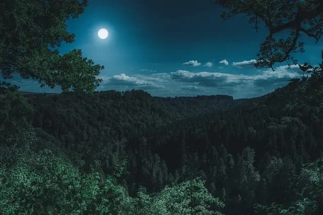 Les Rituels Coréens de la Pleine Lune : Traditions et Significations