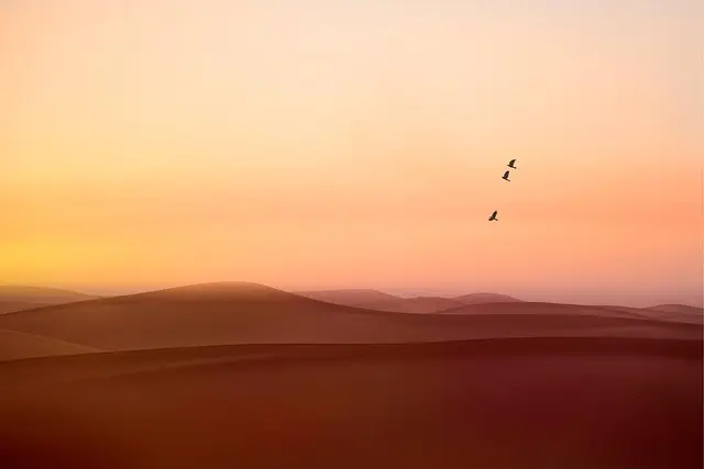 Les rituels coréens de méditation : techniques et bienfaits