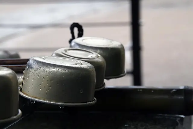 Les Rituels Coréens de Purification : Pratiques et Bienfaits